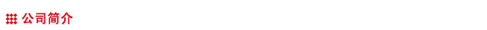 公司簡(jiǎn)介